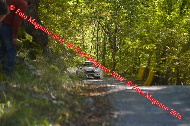 DSC_2026.JPG